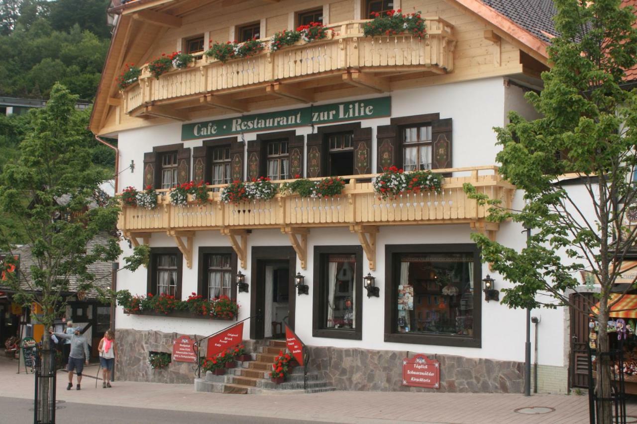 Gaestehaus Zur Lilie トリベルク エクステリア 写真